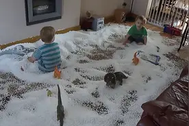 巴西19岁女人产“同母异父”双胞胎，专家：形成条件非常苛刻图片