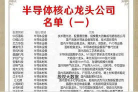 半导体核心龙头企业名单！图片