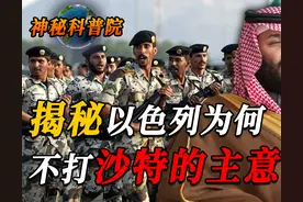 中东“狗大户”沙特，战斗力不如游击队，以色列为何不敢打他主意图片