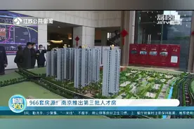 966套房源！南京推出第三批人才房图片