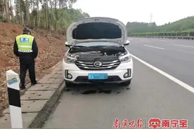 狗狗闯入高速公路，司机驾车躲避不及撞了上去图片