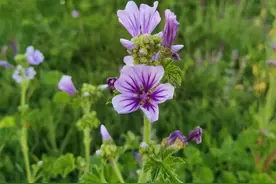 发现自我催眠的方法后，我几乎没有再失眠了图片