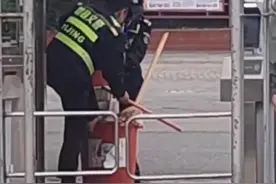 赣州一所中学安保人员虐杀流浪狗？学校：2名涉事保安已开除图片