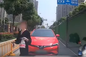 女子逆行堵路直接锁车回家 武汉交警：拘10日、记3分、罚1500元图片