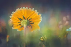 错过一个人，才知道什么是遗憾图片