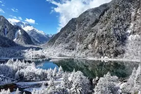 都江堰、九寨沟、熊猫谷、乐山大佛、毕棚沟景区，最新公告！图片