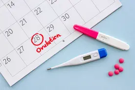 备孕攻略大揭秘：那些你不知道的备孕小技巧，让你顺利怀上宝宝!图片