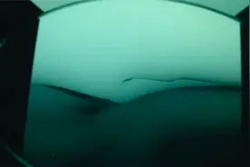 南极冰层500米下的秘密，终于被揭开了图片