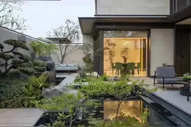 不想频繁打理院子，就按照我说的做！赶紧学起来吧图片