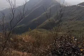 故事：男子跟踪老和尚，发现神秘山洞，里面有16个漂亮女子图片