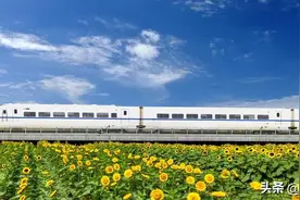 打造全国性综合交通枢纽，南阳的“路”还有多远？｜豫观察图片