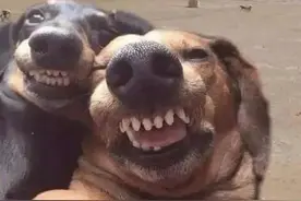 压箱底的冷笑话脑筋急转弯大全图片