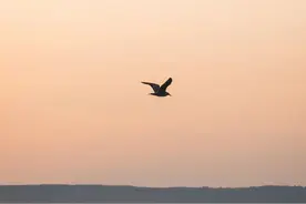 诗词丨苏轼最孤独的6首诗，却慰藉了无数失意的灵魂图片