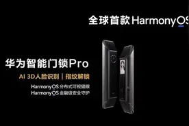 市场杂乱无序，华为发布首款鸿蒙智能门锁，推动标准规范化发展图片