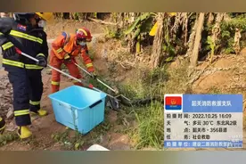 长3米重53斤！韶关一村民发现缅甸蟒，是世界巨型蛇类之一图片