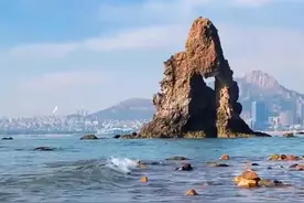 青岛旅行血泪教训套装，请收下这份避坑攻略，不被收智商税图片