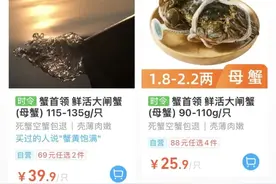 249元/斤！浙江人最爱的美味，刚刚上市！马上价格要涨？图片