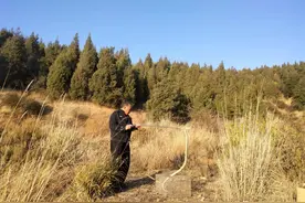 【我为群众办实事】金雕、豹猫、大蛇、鹰鸮齐出没！又到了云南警察的“林忙时节”……图片