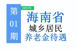 海南省启动2023年养老保险缴费：标准是多少，能领多少养老金？图片