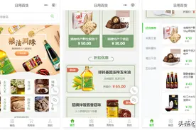 粮油调味品商城小程序如何搭建？图片