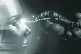 生命情感的最终归宿——图片