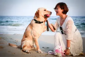 1998年，美国温顺杂交犬深夜将女主人折磨致死，调查原因令人心酸图片