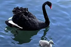 酒能通神，当你举杯的时候，一定要心存敬畏。图片