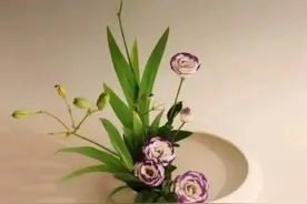 花尽其用，与花交集——对插花花艺的前景分析图片
