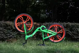 史上最惨富二代：创业失败，父母入狱，如今他怎么样了？图片