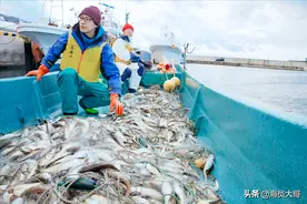 村里有几个人渔民前年捕鱼至今未归，出海捕鱼危险吗？图片