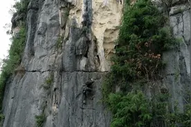 广西左江流域发现大型史前蛇类遗存，最大个体全长至少4.58米图片