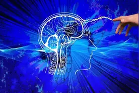 猫咪怎样启发了人工神经网络的诞生？图片