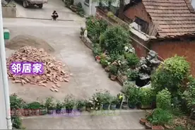 浙江女子吐槽邻居堵路，只留一扇小门过路：这是在侮辱我们家图片