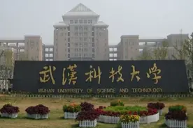 湖北这所高校喊话：冲击下一轮“双一流”，网友却表示任重而道远图片