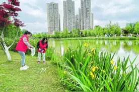 ​【强省会·观区县】白云区：厚植高质量发展的绿色底色图片