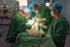 ​菏泽市中医医院血管外科：畅通“生命之河”护佑百姓健康图片