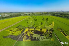 观稻景、吃蟹面、钓螃蟹……这里的“中秋”，好吃好看好玩图片