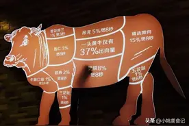 牛腱前腱子和后腱子区别大记住3点不吃亏图片