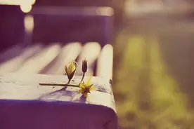 一个女人这样跟你发微信，其实就是想你了图片