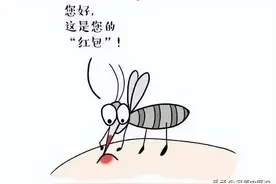 被蚊虫叮咬后发炎红肿过敏，别慌，医生告诉你有效处理方法图片