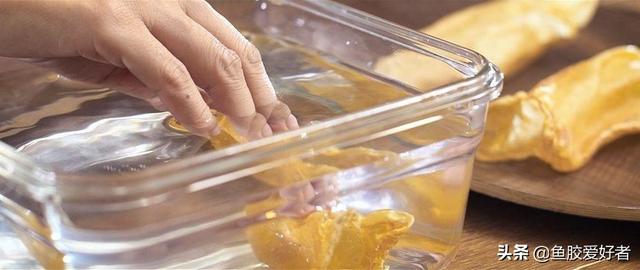 鱼胶用温水还是冷水泡 2026年鱼胶用冷水泡吗