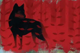 杀死一只狼，需要什么样的枪？图片