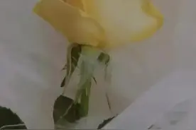 女人贪欲强有哪些表现图片