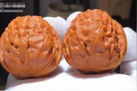 文玩核桃分享八甲骨文核桃图片