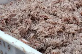 素来爱吃这个“臭酱”的沿海人，最懂什么是极致的鲜香!图片