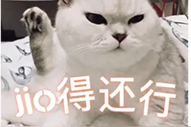“银渐层”可爱迷人，先了解它的优缺点，养猫不踩坑图片