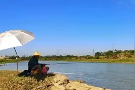 夏季钓鱼，只需改正这几个细节，新手也可连竿，大鱼小鱼上不停图片