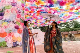 【备战十一黄金周】快来打卡！森林动物园超值套票图片