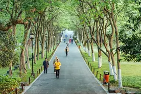 孙中山10句话，最好背下来！图片