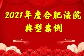 2021年度合肥法院典型案例图片